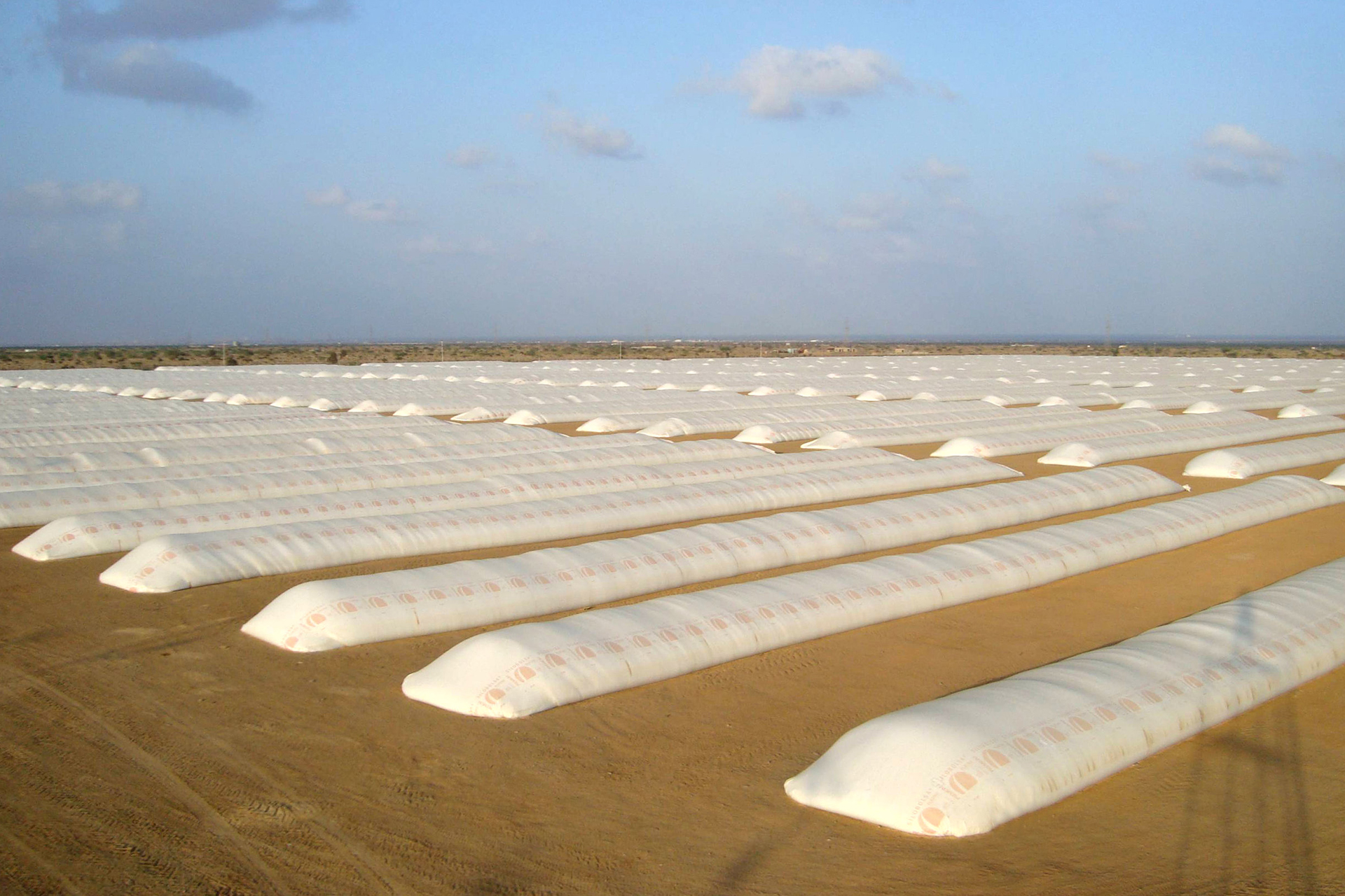 Silobolsas en el campo